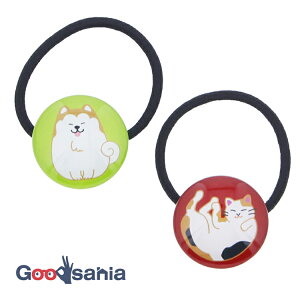 C wAS KXwASZbg ۂ˂EHc { bh O[ 6.7×5.2×1.5cm 2Zbg ( S wA S wAANZT[ a KX  )