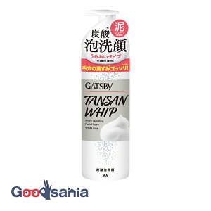 ギャツビー マイクロスパークリング 泡洗顔 ホワイトクレイ 200g ( 男性 洗顔 )