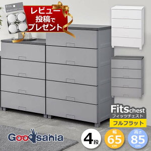 y r[Tt z Vn `FXg Fits tBbc`FXg ttbg 4i 65×41×85cm 6504 ( Fits[ tBbc 65 ^X ߗގ[ [Ƌ i o rt  Vv tb