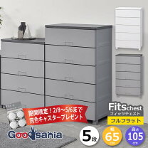 楽天市場】フィッツプラス イージー 5段の通販
