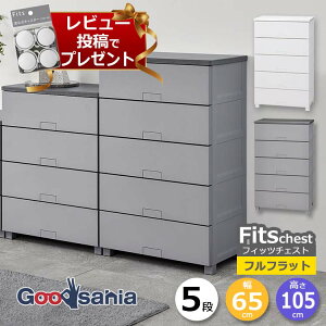 y r[Tt z Vn `FXg Fits tBbc`FXg ttbg 5i 65×41×105cm 6505 ( Fits[ tBbc 65 ^X ߗގ[ [Ƌ i o rt  Vv tb