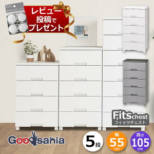 y r[Tt z Vn `FXg Fits tBbc`FXg 5i 55cm 55×41×105cm 5505 ( Fits[ tBbc ^X ߗގ[ [Ƌ o rt ߗ  )