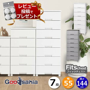 y r[Tt z Vn `FXg Fits tBbc`FXg 7i 55cm 55×41×144cm 5507 ( Fits[ tBbc ^X ߗގ[ [Ƌ o rt ߗ  )