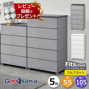 y r[Tt z Vn `FXg Fits tBbc`FXg ttbg 5i 55cm 55×41×105cm 5505 ( Fits[ tBbc ^X ߗގ[ [Ƌ o rt )