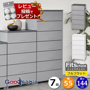 y r[Tt z Vn `FXg Fits tBbc`FXg ttbg 7i 55cm 55×41×144cm 5507 ( Fits[ tBbc ^X ߗގ[ [Ƌ o rt )