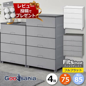 y r[Tt z Vn `FXg Fits tBbc`FXg ttbg 4i 75cm 75×41×85cm { 7504 ( Fits[ tBbc ^X ߗގ[ [Ƌ o rt )