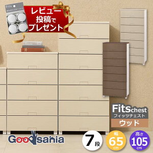 y r[Tt z Vn `FXg Fits tBbc`FXg Ebh 7i 65cm 65×41×144cm 6507 ( Fits[ tBbc ^X ߗގ[ [Ƌ o  )