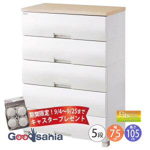 yԌI9/4`9/25܂ LX^[ v[gz Fits `FXg tBbcvX y 5i 75cm [v z s41×75×105cm F7505 Vn ( [P[X o [ )
