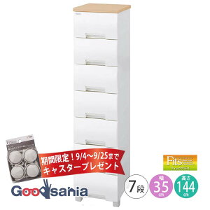 yԌI9/4`9/25܂ LX^[ v[gz Fits `FXg tBbcvX y 7i 35cm [v z s41×35×144cm F3507 Vn ( o [ rt )