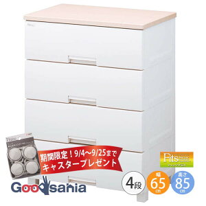 yԌI9/4`9/25܂ LX^[ v[gz Fits `FXg tBbcvX y 4i 65cm [v z s41×65×85cm F6504 Vn ( [ o   )