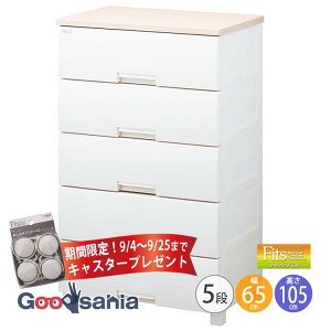 yԌI9/4`9/25܂ LX^[ v[gz Fits `FXg tBbcvX y 5i 65cm [v z s41×65×105cm F6505 Vn ( [ o Ch  )