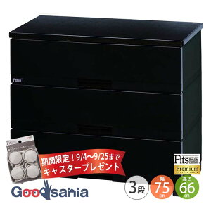 yԌI9/4`9/25܂ LX^[ v[gz Fits `FXg tBbcvX y v~A 3i 75cm ubN z 75×s41×66cm FP7503 Vn ( o [ )