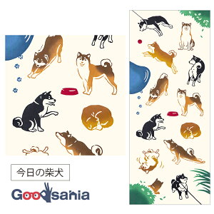 ~g^I(Miyamoto-towel) ʂ kenema 35×90cm { ̎Č 50281 ( @ `i y Rbg a 痿 vg miyamoto  {{  TENUGUI ^I )