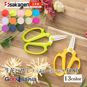 ⌹(Sakagen)  nhNG[V F180 tbfR[eBO 18×11cm