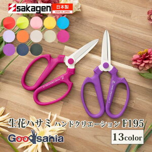 ⌹(Sakagen)  nhNG[V F195 tbfR[eBO 19.6×11cm