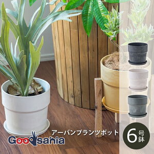 POSH LIVING Aؔ A[ovc|bg 6 ( |bVrO A  vc|bg O[|bg |bg 6 \bh y vX`bN A O[ CeA )