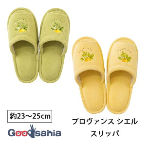 IJ Xbp v@X VG 23`25cm ( gC gCXbp [Xbp 􂦂   _炩 \tg G gC^[ gCpi gCt@ubN  V