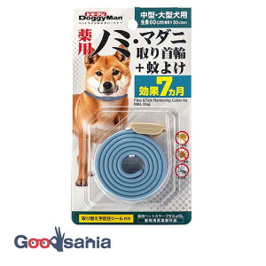 hM[}nV p m~E}_j+悯 ^E^p yp򕔊Oiz (  m~  h 悯 悯 p ^ ^ )