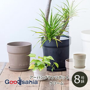 POSH LIVING Aؔ A[ovc|bg 8 N[ 81147 ( |bVrO A  vc|bg O[|bg |bg 8 \bh y vX`bN A O[ Ce