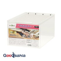 楽天市場】repti zooの通販