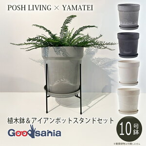 POSH LIVING / YAMATEI yAؔX^hZbgz A[ovc|bg 10 / ACA|bgX^h 30p ( |bVrO Aؔ X^h ACA Zbg  )