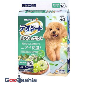 jE`[ fIV[g L&tOX O[A}̍ M[ 120 (  V[c ybgV[c gCV[g { pgCV[g ӂ荁 t )