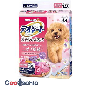 jE`[ fIV[g L&tOX t[V{̍ M[ 120 (  V[c ybgV[c gCV[g { pgCV[g ӂ荁 t )