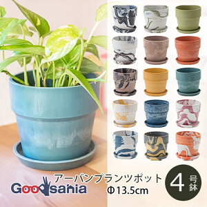 yҏIő400~OFFN[|zzz|bVrO Aؔ A[ovc|bg 13.5×H12.5cm S15F ( POSH LIVING A  A vc|bg O[|bg |bg y A