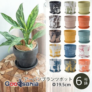 yҏIő400~OFFN[|zzz|bVrO Aؔ A[ovc|bg 19.5×H18.5cm S15F ( POSH LIVING A  A vc|bg O[|bg |bg y A