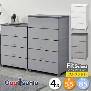 �V�n �`�F�X�g Fits �t�B�b�c�`�F�X�g �t���t���b�g 4�i ��55cm ��55×41×85cm 5504 ( Fits���[ �t�B�b�c �^���X �ߗގ��[ ���[�Ƌ� �����o�� �r�t )