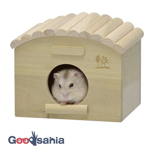 OW LtnEX ۑ ( TR[ H21 pnEX nX^[  nEX ؐ B o V xꏊ )