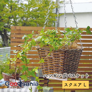 ポッシュリビング 鉢カバー ハンギングバスケット スクエア L 約W17.5×D17.5×H59(14.5)cm ブラウン 11615 ( 植木鉢 カバー ポットカバー バスケット 吊り下げ インテリア おしゃれ )
