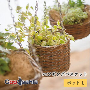 |bVrO Jo[ nMOoXPbg |bg L 15.5×H60(16)cm uE 11617 ( Aؔ Jo[ |bgJo[ oXPbg ݂艺 CeA  v^[ )