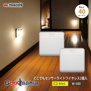 yҏIő400~OFFN[|zzzTV ZT[Cg ǂłZT[Cg CX 2 10×D2.9×H10cm W-500 ( Ɩ ZT[ Cg dr ZT[Cg dr U