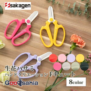 ⌹(Sakagen)  nhNG[V FL[g tbfR[eBO 15.5×10cm S8F (   | t[AWg   ͂ ؂ꖡQ ₷ )