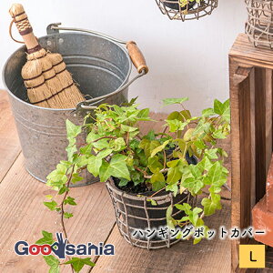 |bVrO Jo[ nMO|bgJo[ L W20.5×D18×H37(15.5)cm ACA 63425 ( Aؔ Jo[ |bgJo[ oXPbg ݂艺 CeA  v^[ )