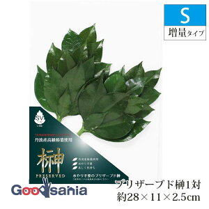 A&K  vU[uh STCY ʃ^Cv 2{g { O[ LK-003SV ( _Ip t 1  _ _Ipi _I dp _pi    Ւd _vU[uht