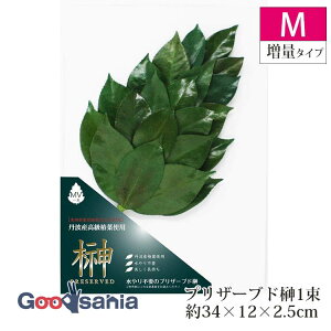 A&K  vU[uh MTCY ʃ^Cv ꑩ { O[ LK-005MV ( _Ip t 1  _ _Ipi _I dp _pi    Ւd _ _kd vU[uht