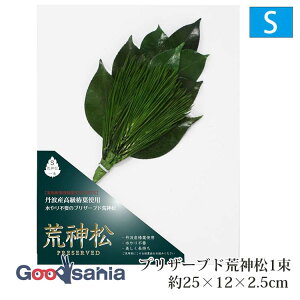 A&K r_ vU[uhr_ STCY ꑩ { O[ LK-006JS ( _I _ d __I _d 㕧d Ւd _  vU[uht[ O  matsu  䏊 ΂̐_