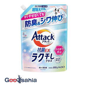 A^bN REX NvX ߂p 810g