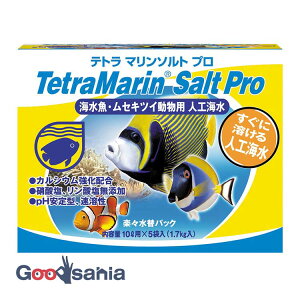 �X�y�N�g�����u�����Y�W���p�� �e�g�� �}�����\���g �v�� �y�X���փp�b�N 10L�p×5�ܓ�(1.7kg) ( Tetra �Ϗ܋� �C�� �C���� �l�H�C�� �}���� �\���g ���Ғœ��� �C������ �����グ ������ )