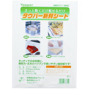 gCt ^Ep[ VNV[g Ɩp 100 zCg 31×23cm