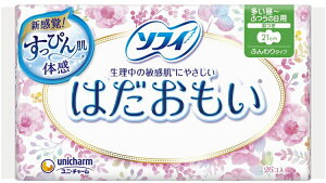 \tB ͂ p H 21cm 26