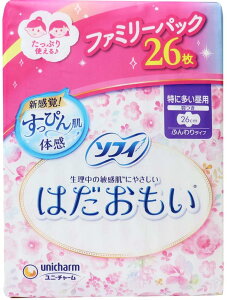 \tB ͂ 260 ɑp H 26cm 26