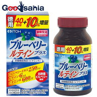 井藤漢方製薬 ブルーベリールテインプラス 約44日分 300mgX132粒