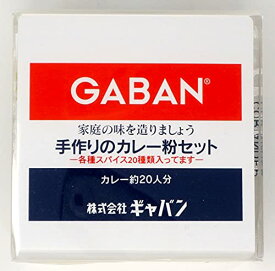 GABAN(ギャバン) 手作りのカレー粉セット (袋) 100g ×2セット