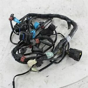 1999-2001 �g���C�A���t �X�v�����g RS ST OEM �R���C���W�F�N�^�[ �T�u�n�[�l�X T2500940 1999-2001 Triumph Sprint RS ST OEM Fuel Injector Sub Harness T2500940 �y���s�A���i�z
