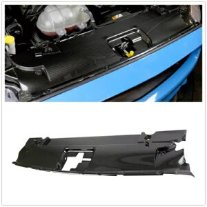 �J�[�{���t�@�C�o�[�N�[���[��p�v���[�g�J�o�[�t�H�[�h�}�X�^���O 2015-2017 2016- Carbon Fiber Cooler Cooling Plate Cover For Ford Mustang 2015-2017 2016- �y���s�A���i�z
