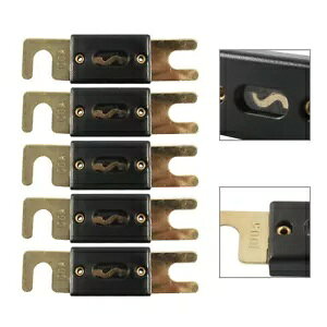 v~A 100A ANL q[Y J[{[gԗ}I[fBIrfIVXep 5 - Premium 100A ANL Fuse for Car Boat Vehicle Marine Audio Video System 5PCS-