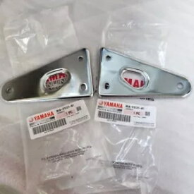 純正部品 ヤマハ RX-King 135 2007/2008 アッパーライトブラケット 3KA-F3131-01/21 Genuine Parts Yamaha RX-King 135 2007/2008 Upper Light Bracket 3KA-F3131-01/21